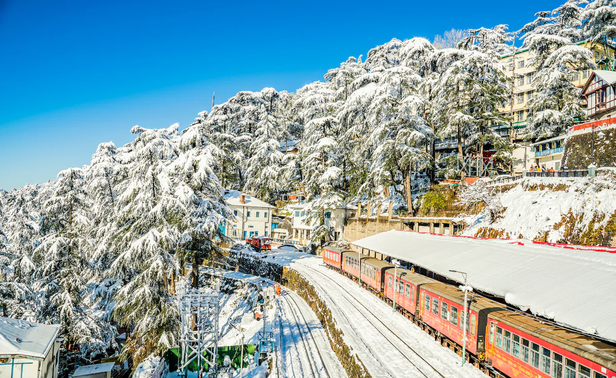 Shimla