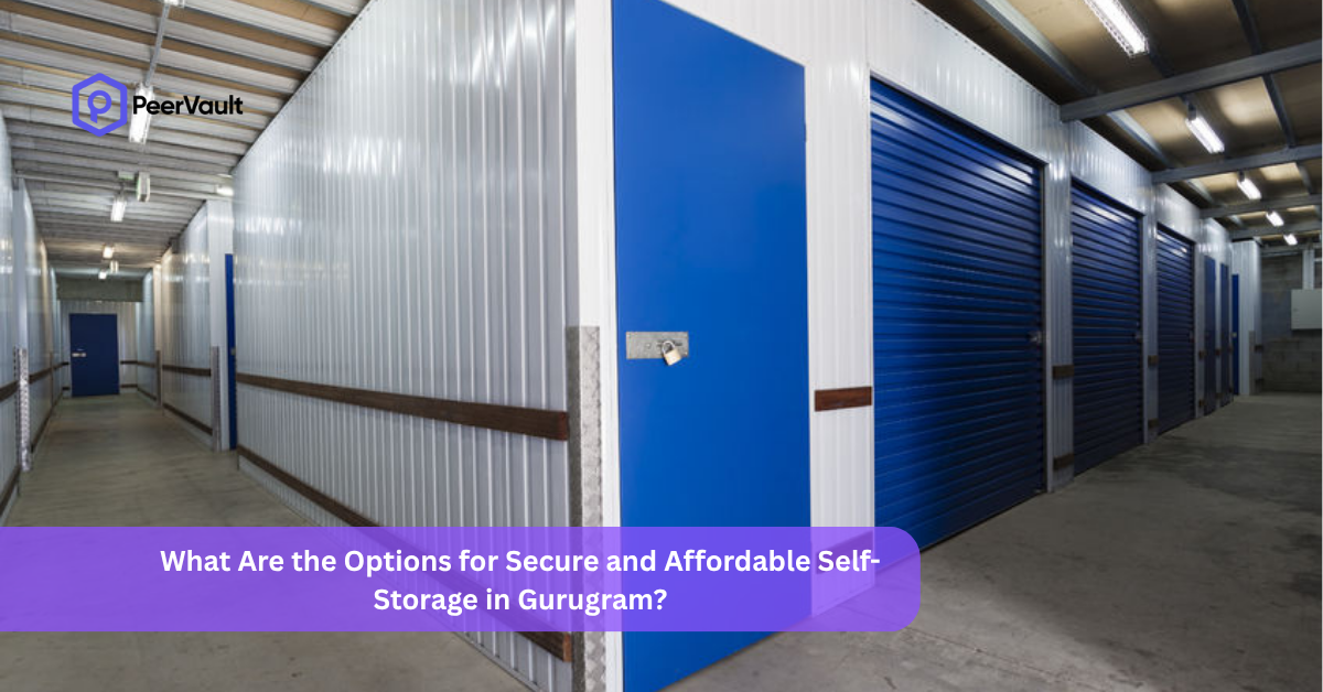 What Are the Options for Secure and Affordable Self-Storage in Gurugram?