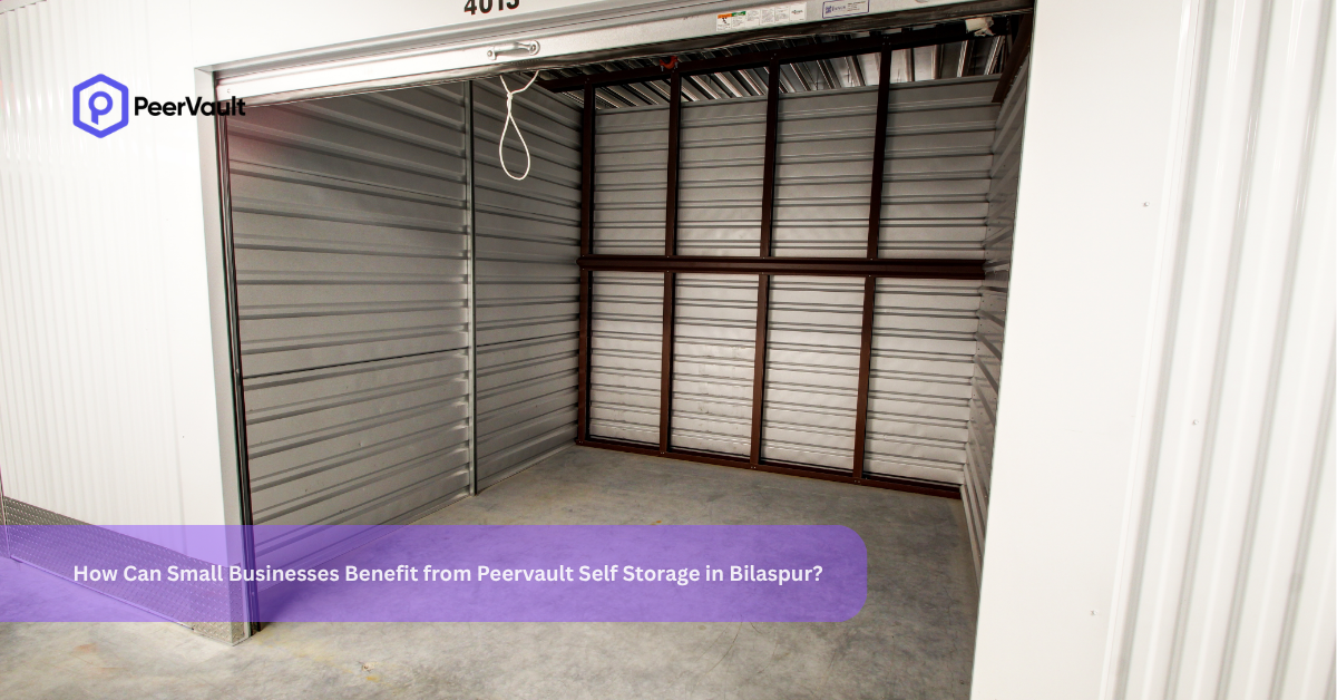 How Can Small Businesses Benefit from Peervault Self Storage in Bilaspur?