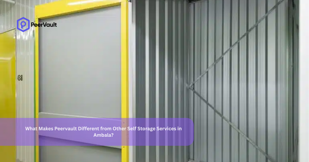 What Makes Peervault Different from Other Self Storage Services in Ambala?