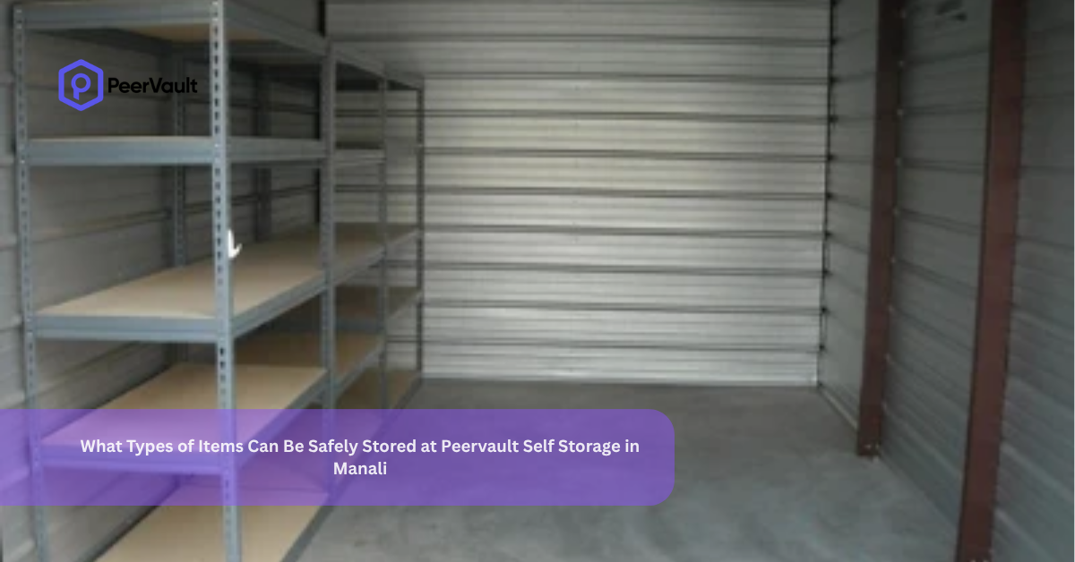 What Types of Items Can Be Safely Stored at Peervault Self Storage in Manali?
