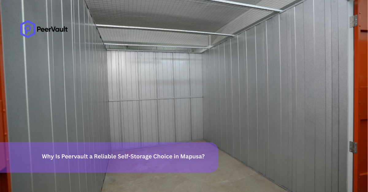Why Is Peervault a Reliable Self-Storage Choice in Mapusa?