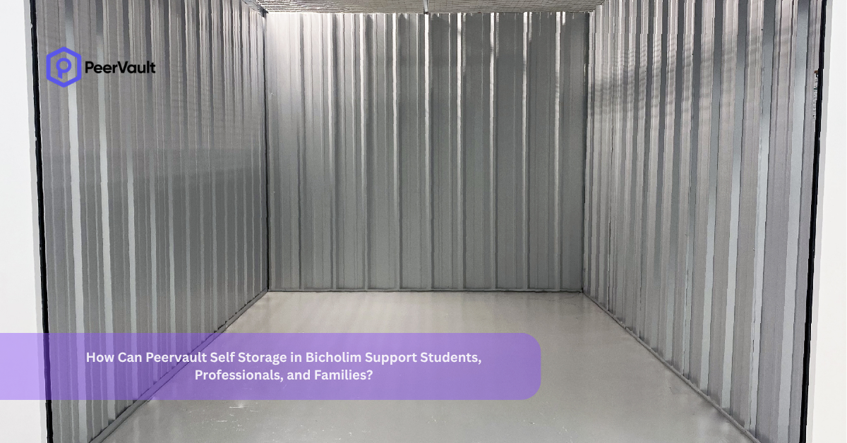 How Can Peervault Self Storage in Bicholim Support Students, Professionals, and Families?