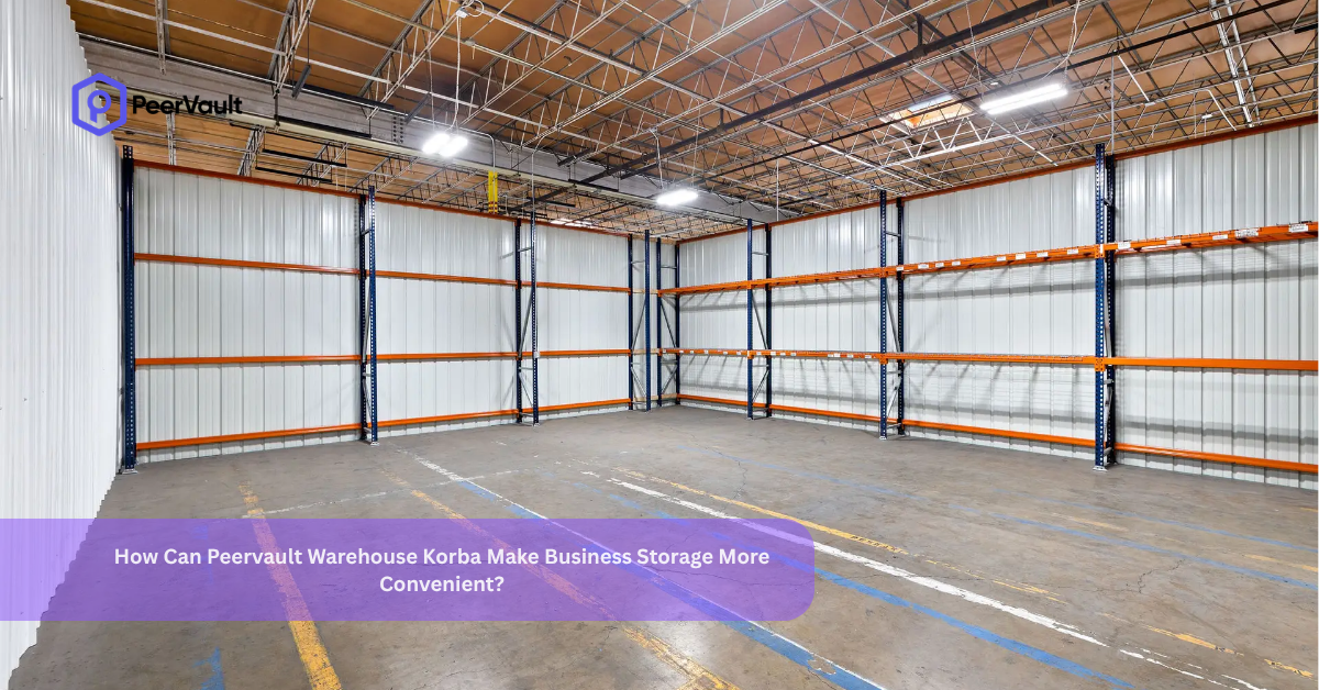 How Can Peervault Warehouse Korba Make Business Storage More Convenient?