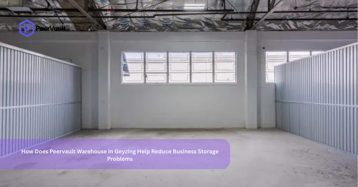 How Does Peervault Warehouse in Geyzing Help Reduce Business Storage Problems?