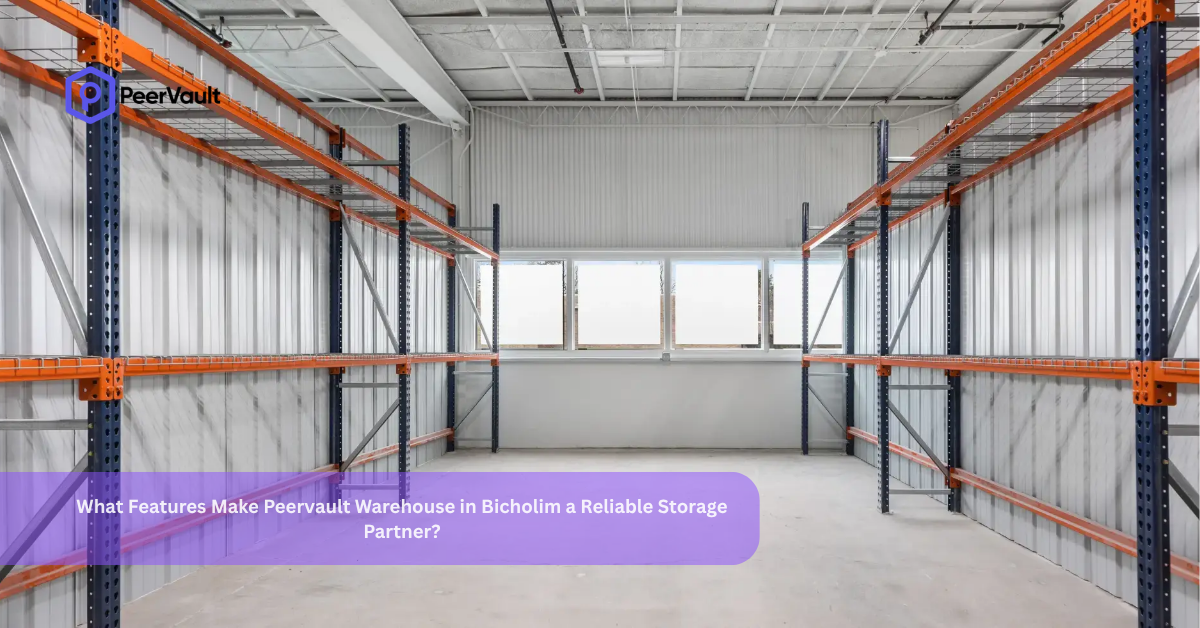 What Features Make Peervault Warehouse in Bicholim a Reliable Storage Partner?