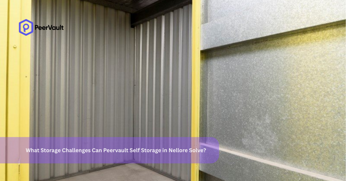 What Storage Challenges Can Peervault Self Storage in Nellore Solve?