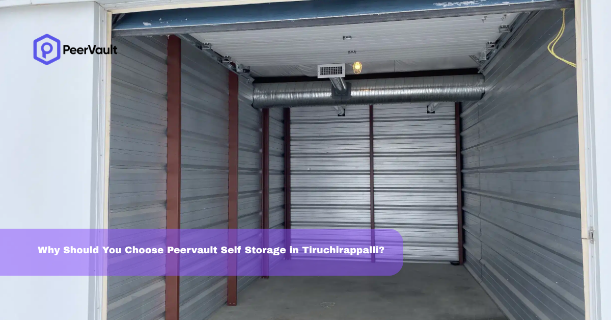Why Should You Choose Peervault Self Storage in Tiruchirappalli?