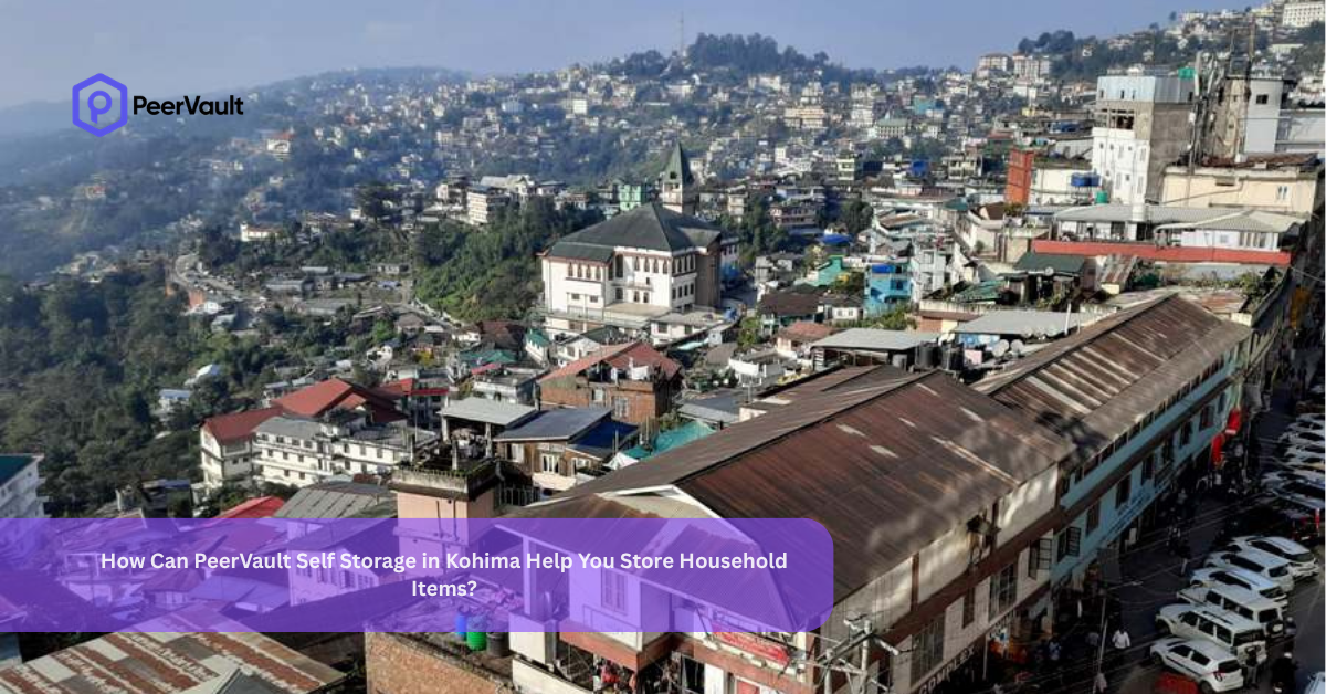 How Can PeerVault Self Storage in Kohima Help You Store Household Items?