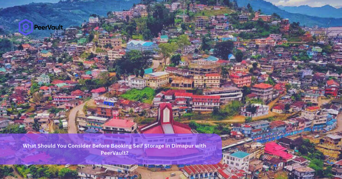 What Should You Consider Before Booking Self Storage in Dimapur with PeerVault?