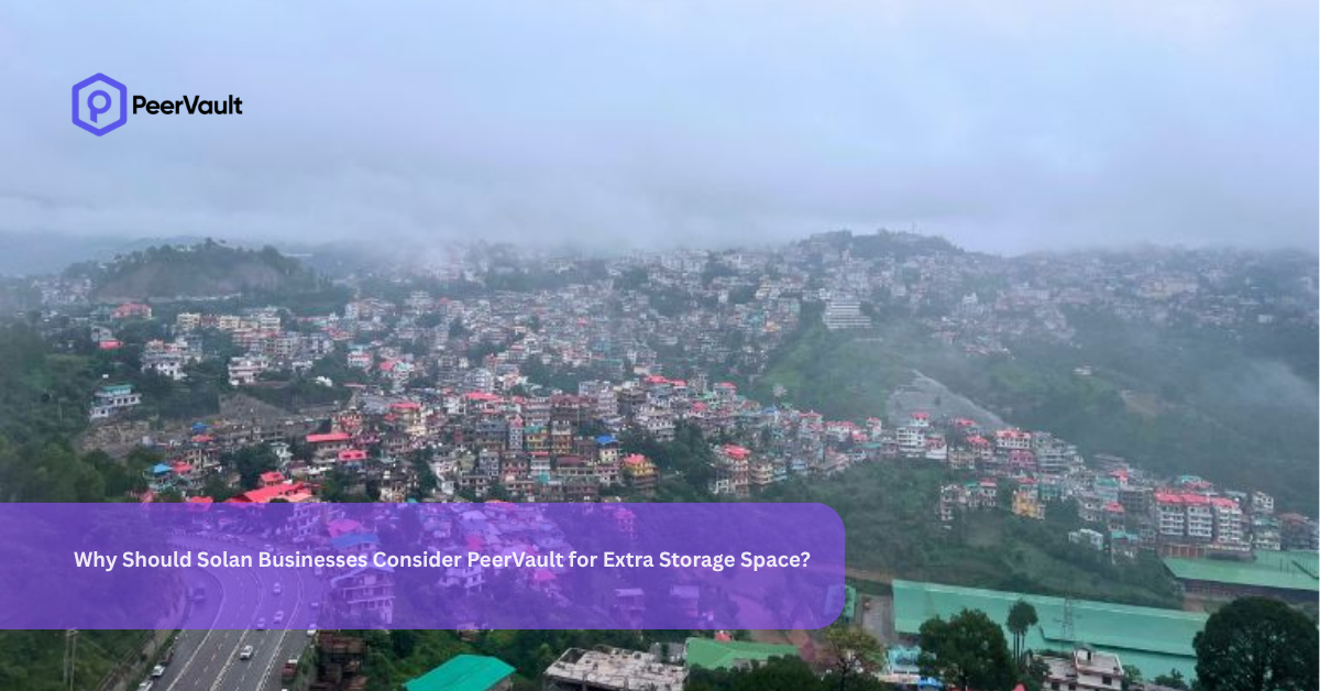 Why Should Solan Businesses Consider PeerVault for Extra Storage Space?