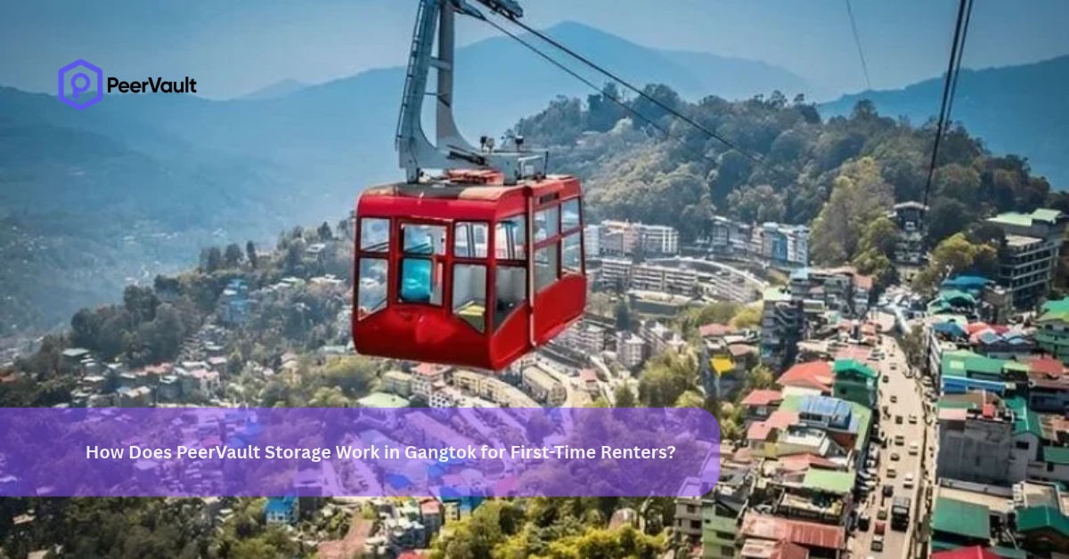 How Does PeerVault Storage Work in Gangtok for First-Time Renters?